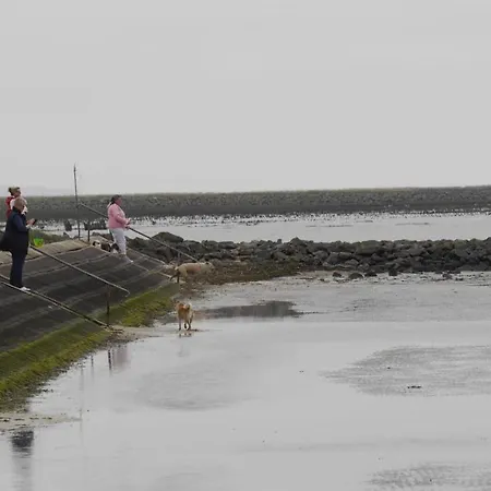 Skipper * Dorumer Neufeld