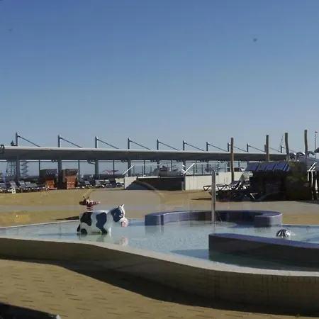 Skipper * Dorumer Neufeld