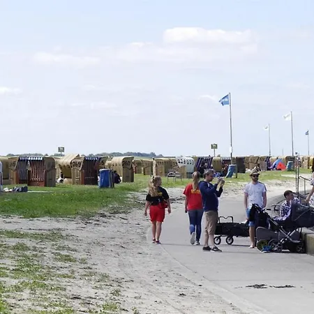 Skipper * Dorumer Neufeld