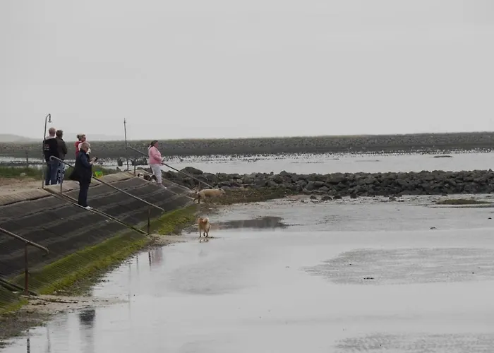 Skipper * Dorumer Neufeld