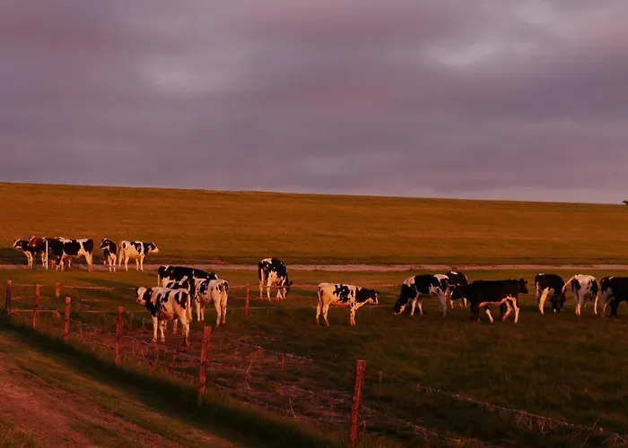 Skipper * Dorumer Neufeld